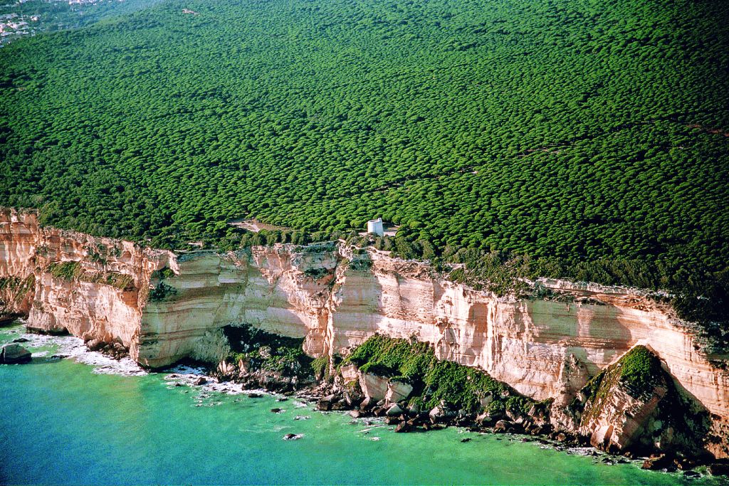 Parque Natural de la Breña y Marismas del Barbate